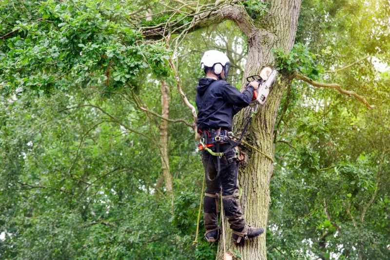Tree Trimming in Action