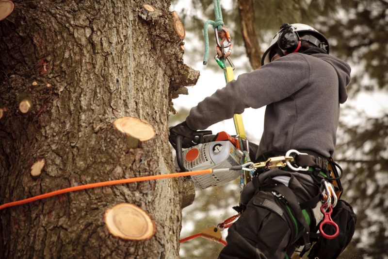 Precision Tree Trimming