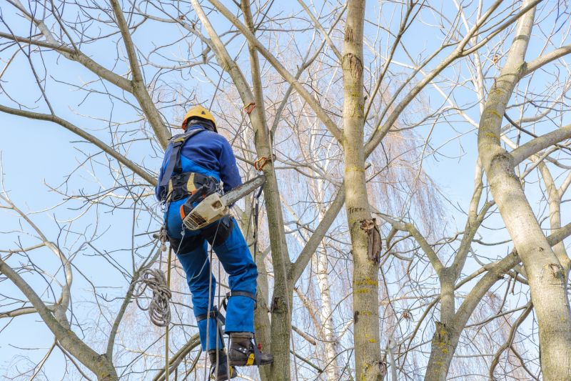 Equipment Used for Cedar Trimming
